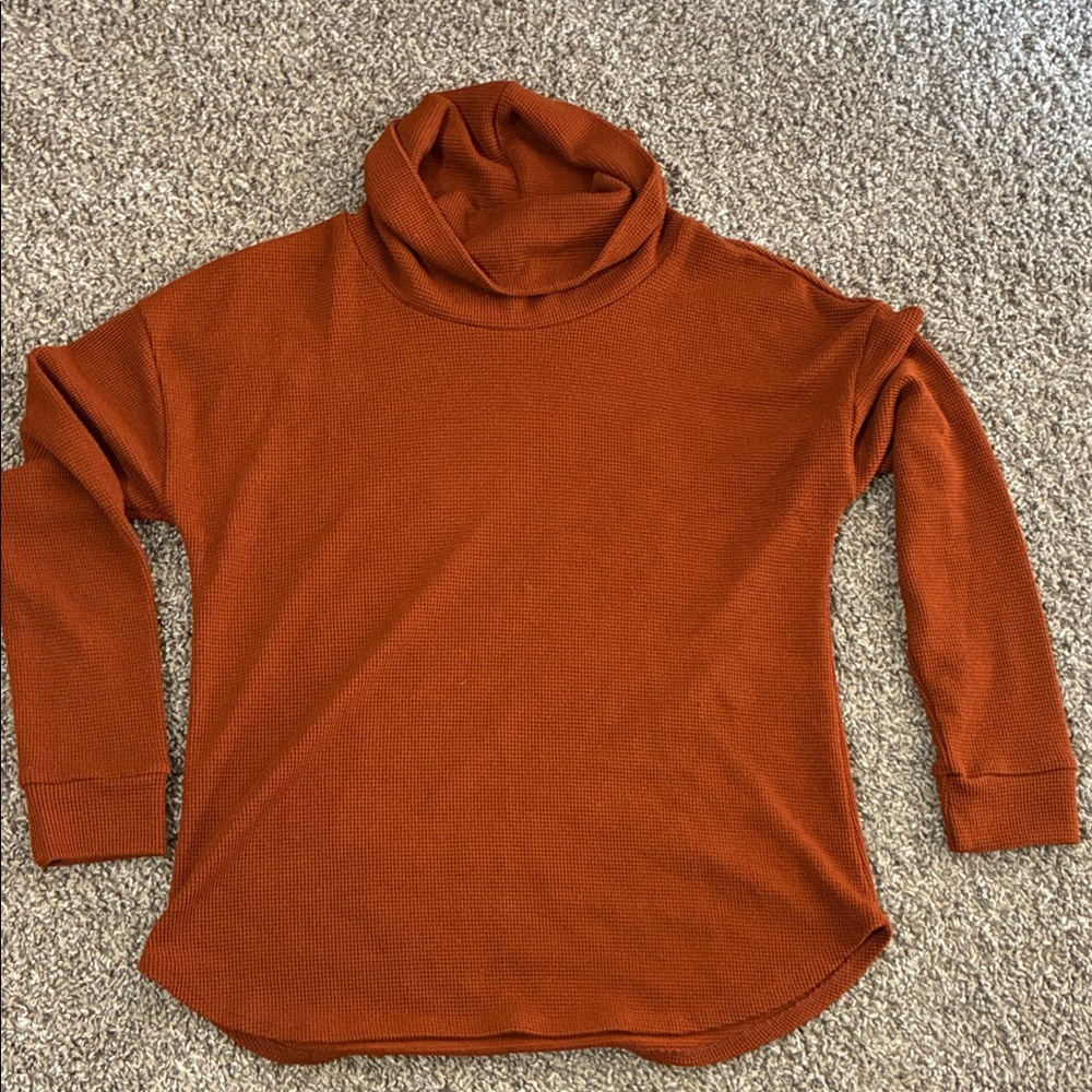 Cyrus Rich Rust Turtleneck Sweater